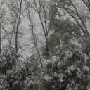 goosewritesfanfic avatar