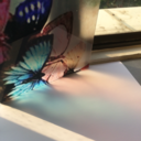 gordongordongordongordon avatar