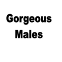 gorgeousmales-blog avatar