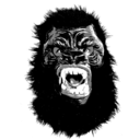 gorillagirls avatar