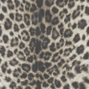 gossipgirl1270 avatar