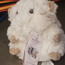 got-bit-by-a-greaser avatar