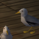 gothamite-seagull avatar