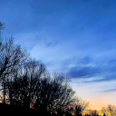 gothamitepride avatar