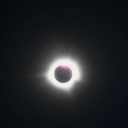 gothamsbestkept avatar