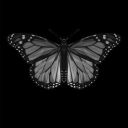 gothbutterfly avatar