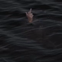 gothic-cryptid avatar