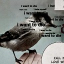 gothicallygone avatar