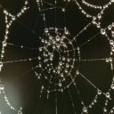 gothicghoulsworld-blog avatar