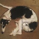 gothichermaphrodite avatar