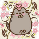 gothicsharkdog avatar