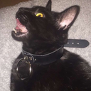 gothlovingoth avatar