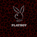 gothoesallroundme avatar