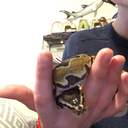 gothvangoh-blog avatar