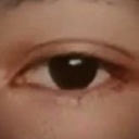 gotinhadeorvalho avatar