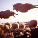 gottagotospace avatar