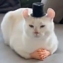 gottasketchfast avatar