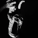 gourdinfester avatar