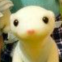 government-cy-op avatar