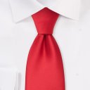 government-offical avatar