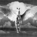 goxahead-blog avatar