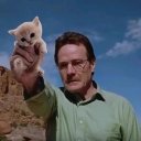 goyha-corinna avatar