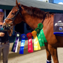 gpas-and-ottbs avatar