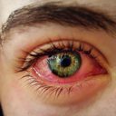 grabdabagreen-blog avatar