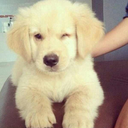 grabthesaltidjits avatar