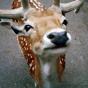 grabyourhatphotography avatar