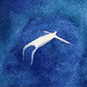 grace-love-humming avatar