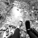 gracechuu-blog avatar