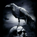 gracefulflyingpenguin avatar