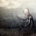 gracefullytragic707 avatar