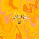 graceinchaos avatar