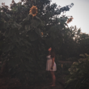 graceinthewoods avatar