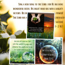 gracia-inmerecida-demicreador avatar