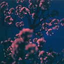 gracious-indefeat avatar