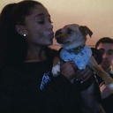 grandefanfics avatar