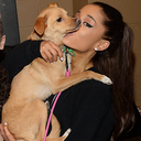 grandesz-blog avatar