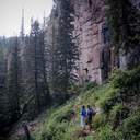 grandidentatum avatar