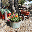 grandmas-dreams avatar