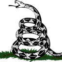 grandoldpartying avatar