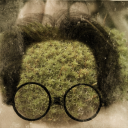 grandpappymoss avatar