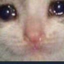 grandsheepgoatee avatar