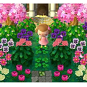 grandsoulcookieathlete-blog avatar