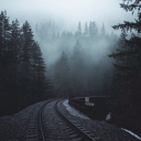 grandstarfishpeach avatar