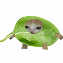 grapemeasure avatar