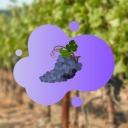 grapes-posts avatar