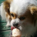 graphite-graphics avatar